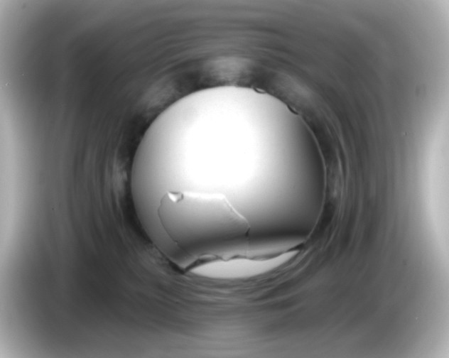 X0000086050279200704091215