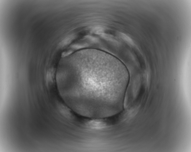 X0000086050280200704091215