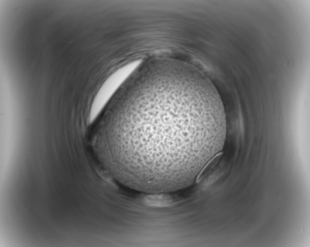 X0000086050281200704091215