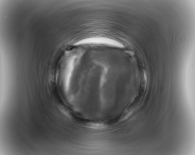 X0000086050284200704091215