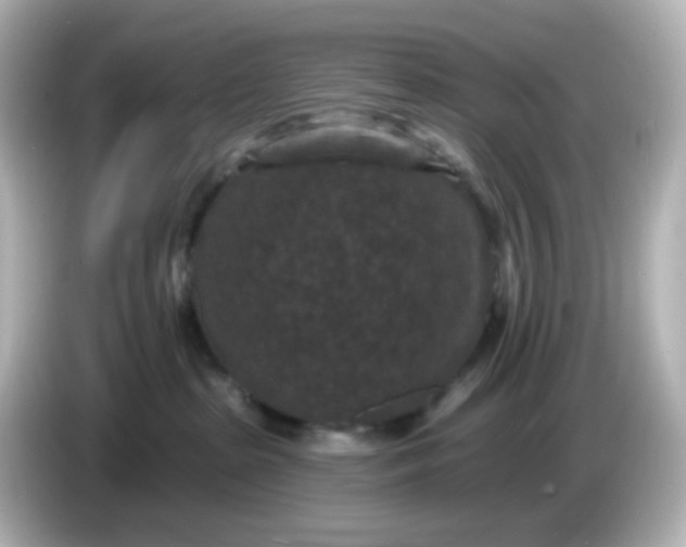 X0000086050285200704091215