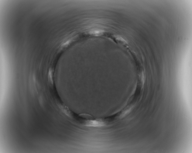 X0000086050286200704091215