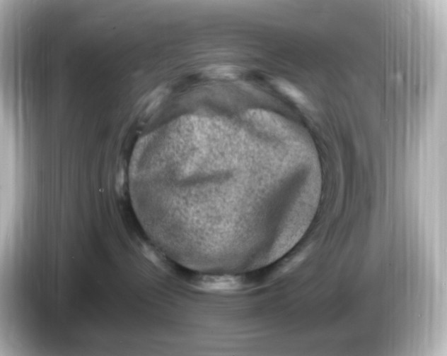 X0000086050288200704091215
