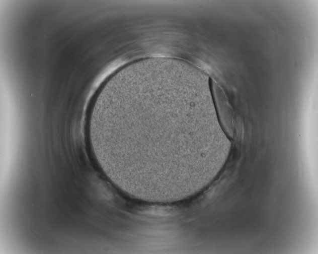 X0000086050292200704091214