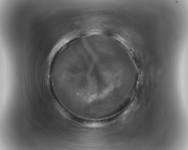X0000086050293200704091214