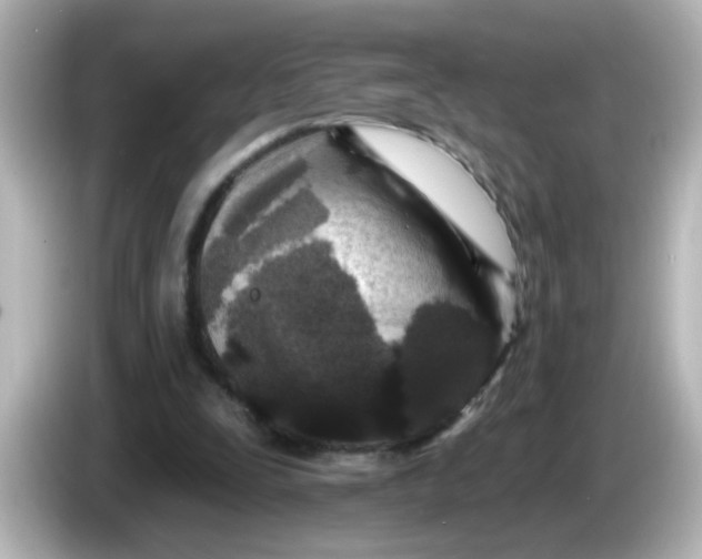 X0000086050295200704091214