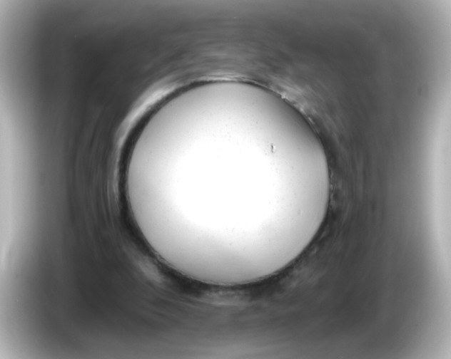 X0000086050296200704091214