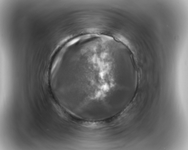X0000086050297200704091214