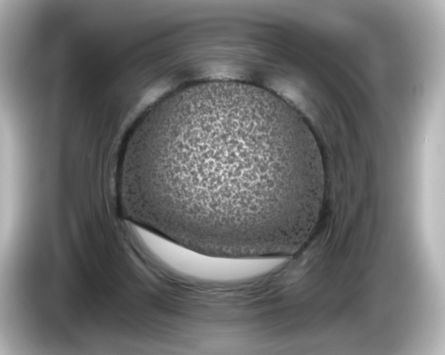 X0000086050299200704091214
