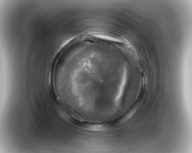 X0000086050301200704091214