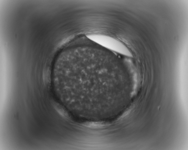 X0000086050303200704091214