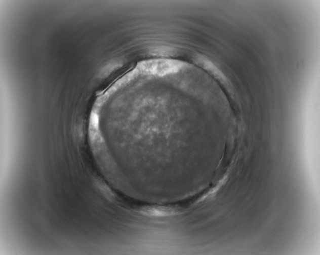 X0000086050305200704091214