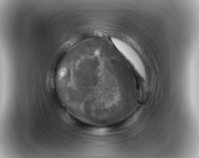 X0000086050313200704091214