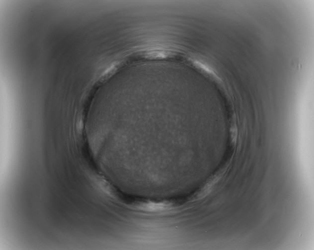 X0000086050314200704091214