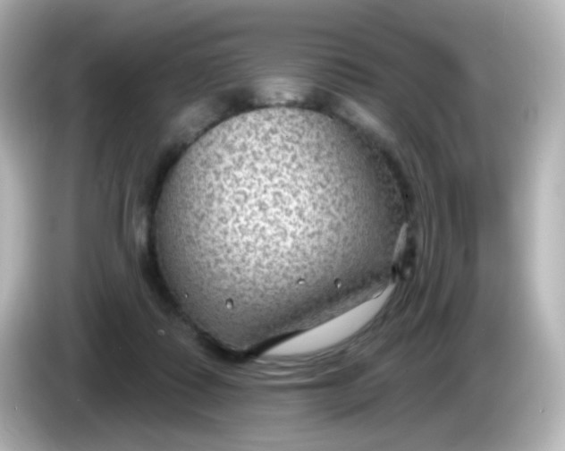 X0000086050315200704091214