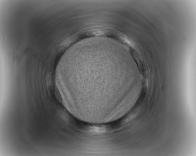 X0000086050317200704091214