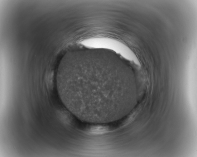 X0000086050319200704091214