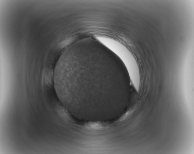 X0000086050325200704091214