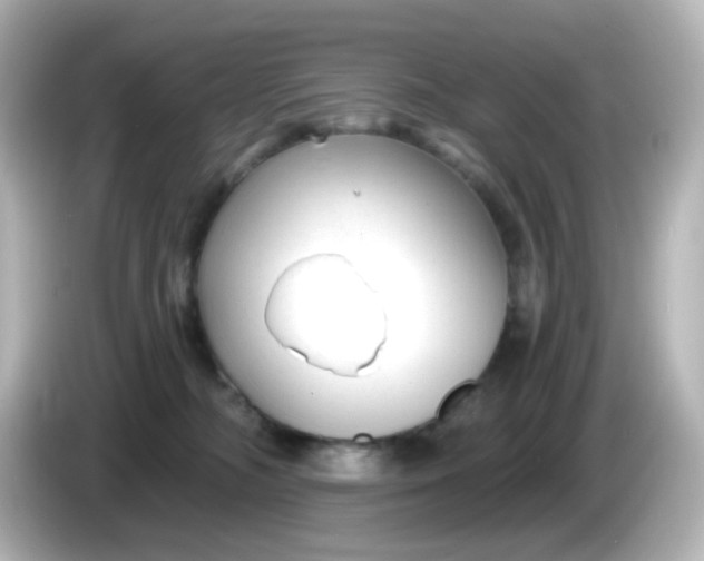 X0000086050326200704091214