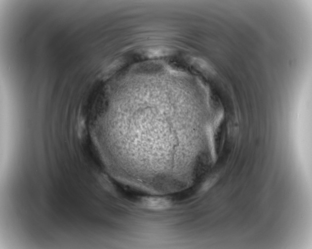 X0000086050327200704091214