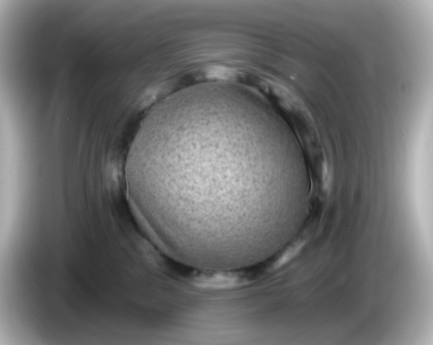 X0000086050329200704091214