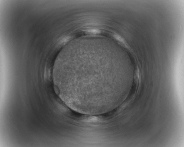 X0000086050330200704091214