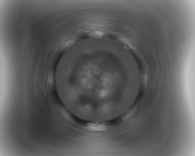 X0000086050331200704091214