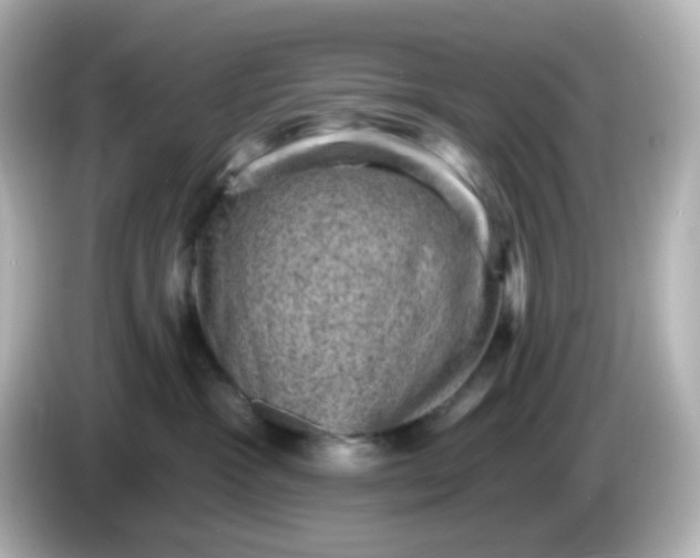 X0000086050333200704091214