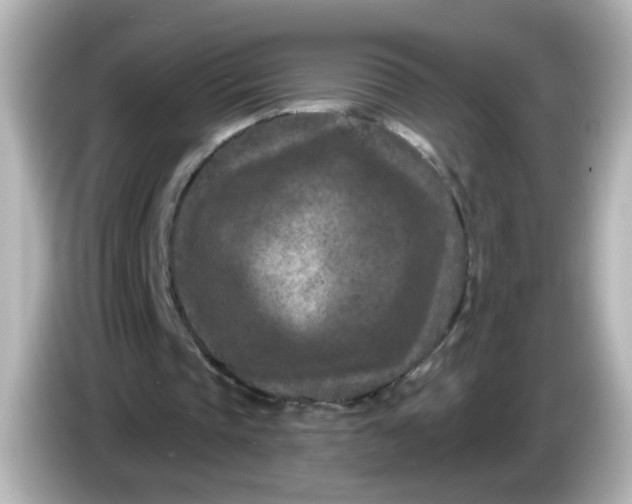 X0000086050337200704091213