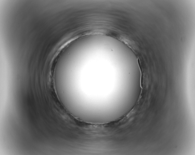 X0000086050338200704091213