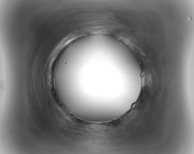 X0000086050339200704091213