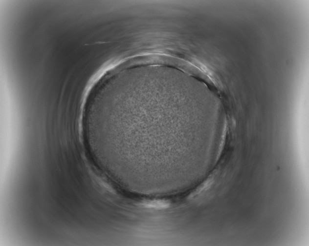 X0000086050340200704091213