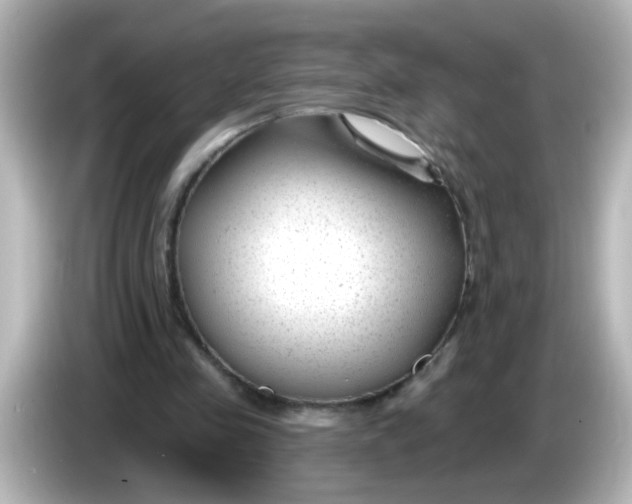 X0000086050341200704091213