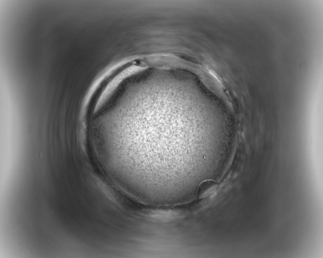 X0000086050342200704091213
