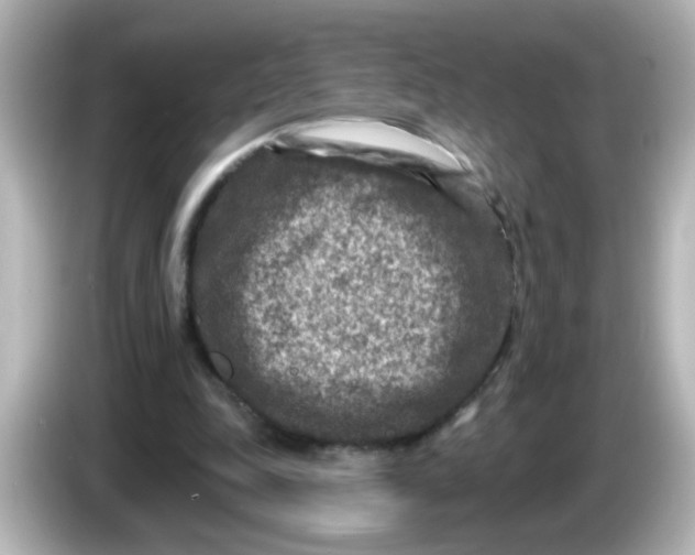 X0000086050343200704091213