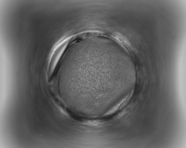 X0000086050344200704091213