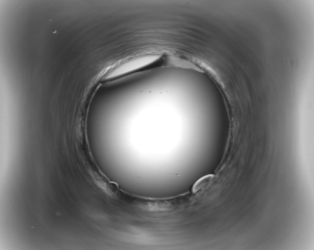 X0000086050345200704091213