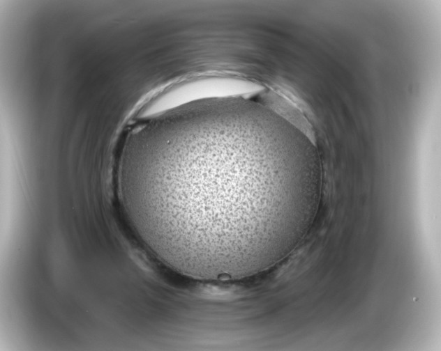 X0000086050346200704091213