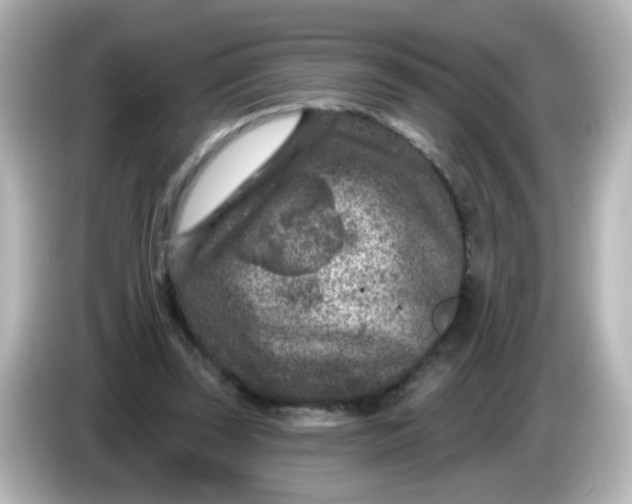 X0000086050347200704091213