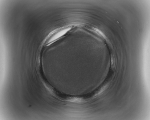 X0000086050348200704091213