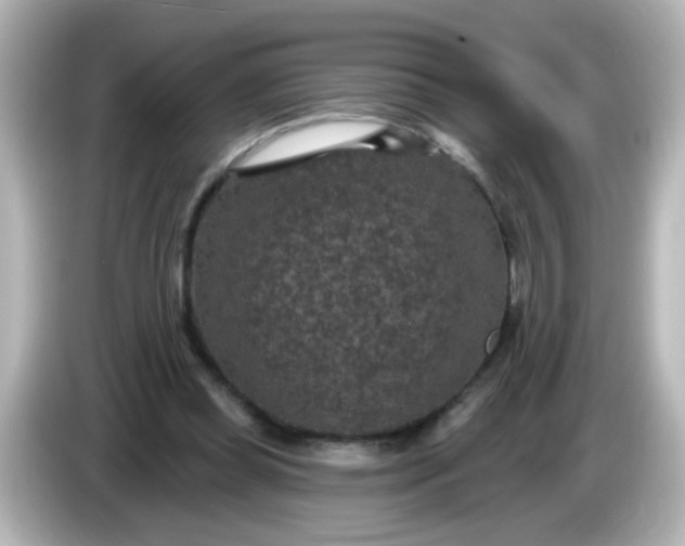 X0000086050349200704091213