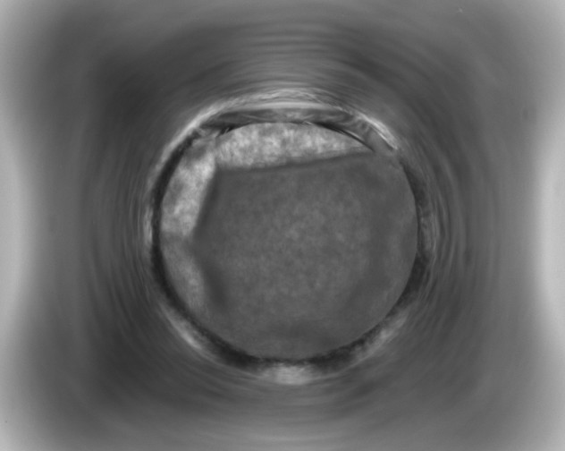 X0000086050350200704091213
