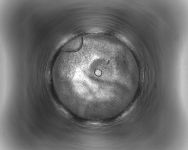 X0000086050351200704091213