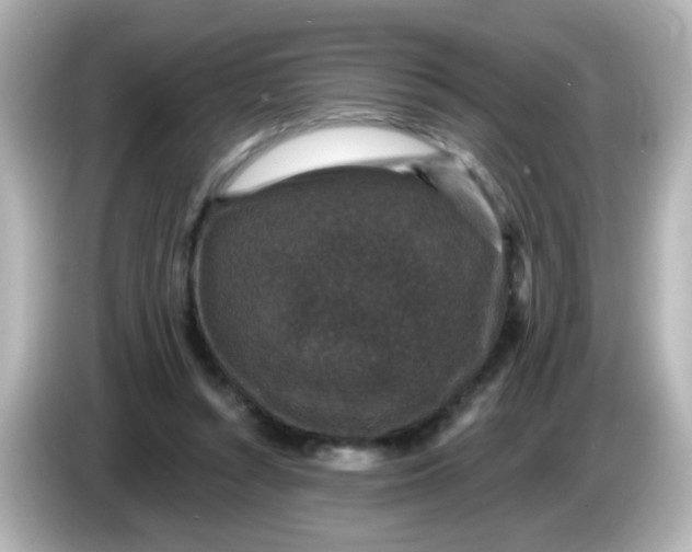 X0000086050352200704091213