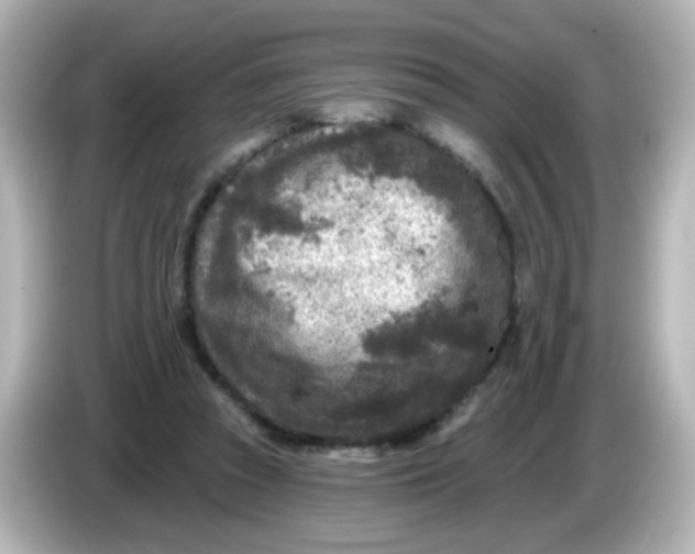 X0000086050353200704091214