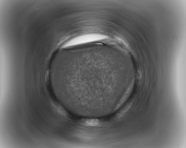 X0000086050355200704091214