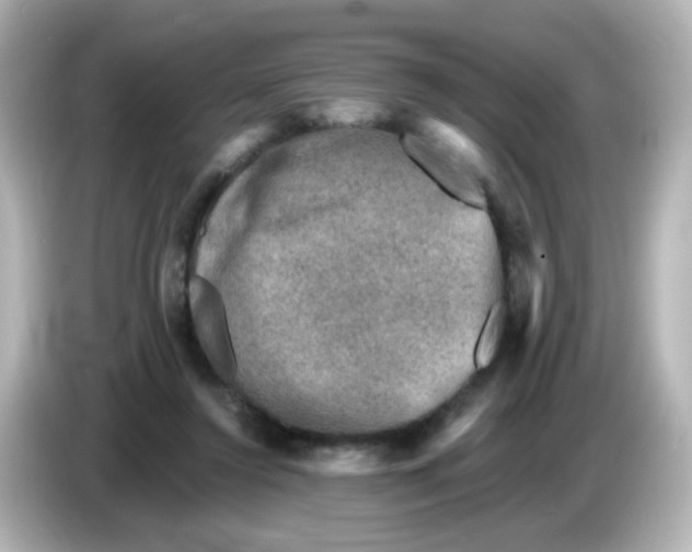 X0000086050356200704091214