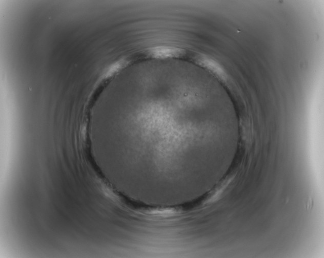 X0000086050357200704091214
