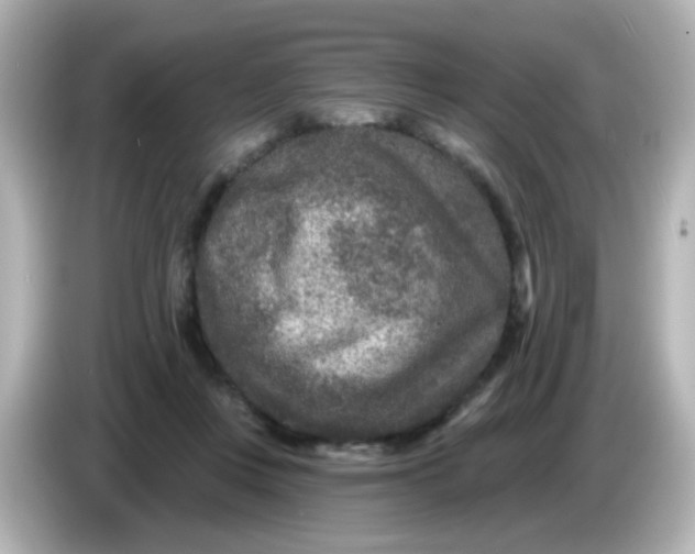 X0000086050359200704091214