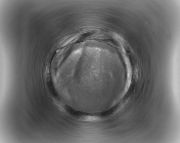 X0000086050360200704091214
